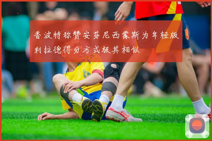 香波特称赞安芬尼西蒙斯为年轻版利拉德得分方式极其相似